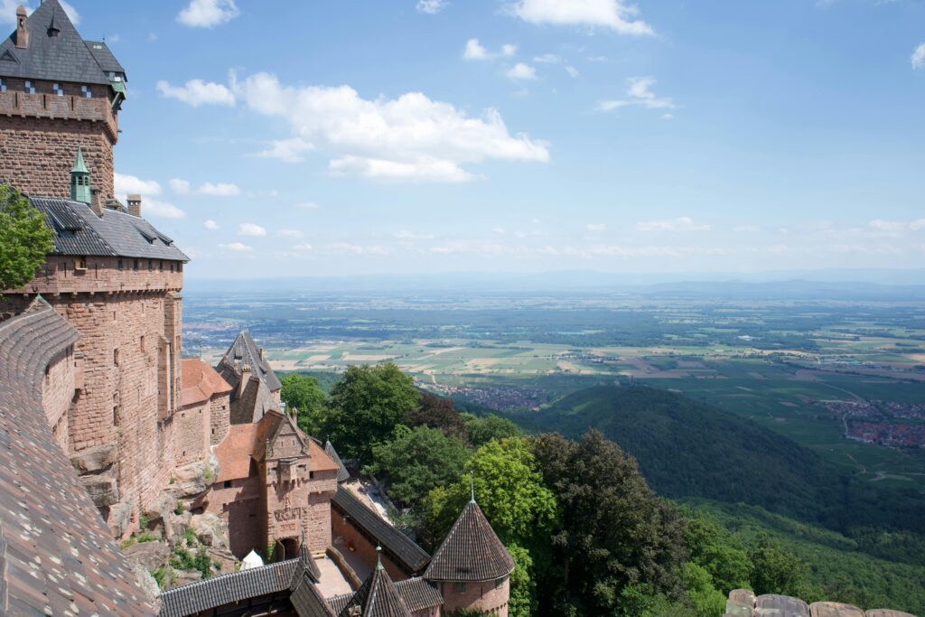 pexels-valeska-huyskens-414046059-15041959